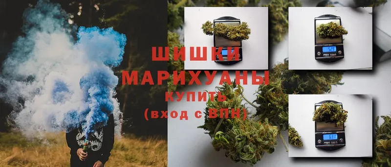 купить закладку  Армянск  МАРИХУАНА сатива 